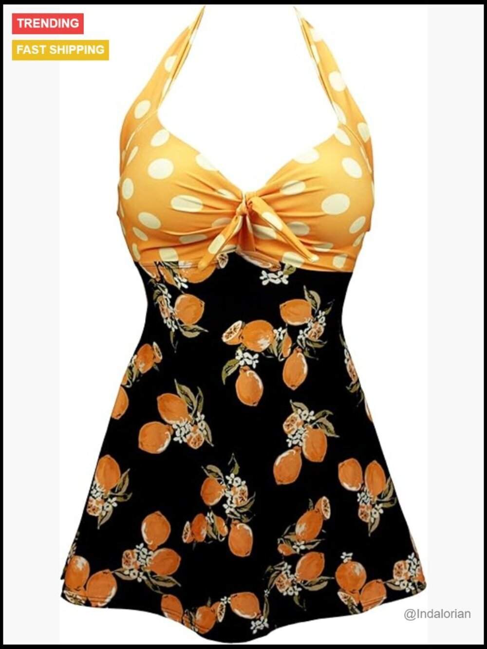 Vintage Swim Dress Tummy Control One Piece Skirted Swimsuit Retro Bathing Suit